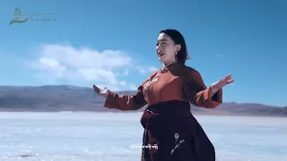 New Tibetan song 2023 ࿉ བོད་གཞས་གསར་པ་༢༠༢༣༼འབྲོག་གི་བུ་མོ།༽གཞས་མ། གཡུ་ཆུང་སྒྲོལ་དཀར། ࿉Yuchung Dolkar