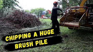 Chipping a big brush pile | Vermeer BC 700XL