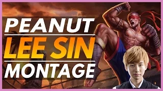 Peanut Lee Sin Montage