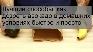 Лучшие способы, как дозреть авокадо в домашних условиях быстро и просто