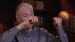 Dame Jane Goodall, Academy Class of 1987, Full Interview