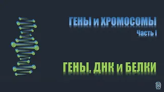 ГЕНЫ и ХРОМОСОМЫ. Часть 1 - Гены, ДНК и Белки [RU] [РУС]