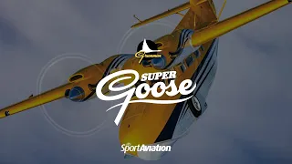 Super Goose