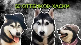 КТО ТАКОЙ ХАСКИ ДЖАГЕР?/ ОБЗОР ОТ ШЛЯГЕРА