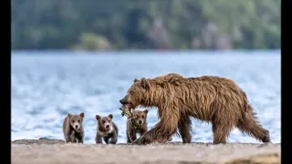 На реке на Онеге