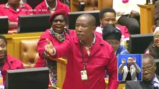 "Shut Up Julius Malema" - ANC MP In Parliament