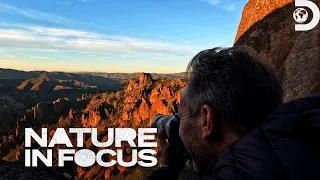 Uncovering Pinnacles National Park | Nature in Focus