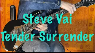 Steve Vai-Tender Surrender (cover)