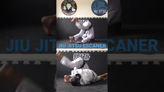 JIU JITSU E MOBILIDADE / ESPECIAL