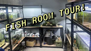 TNT Aquatics Fish Room Tour!