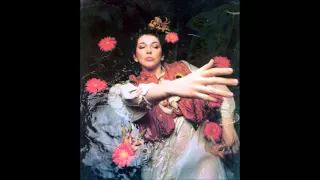 Kate Bush The Ninth Wave Extended