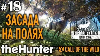 theHunter call of the wild #18 🔫 - Засада На Полях - Арбалет, Револьвер - Олень, Косуля, Лань