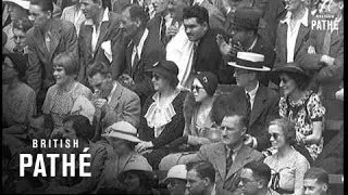 Davis Cup Final (1935)