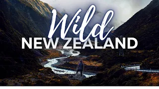 Exploring Arthur's Pass National Park, New Zealand | Solo Hiking a HUGE Mountain