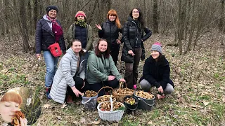 Весенний ГРИБНОЙ ТУР "Грибалка": тихая охота на весенние грибы и первые съедобные растения в лесу
