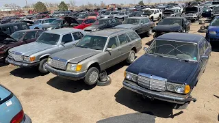 ANOTHER Mercedes-apalooza in the Junkyard!  More JUNKED Mercedes-Benzes for Everyone to Enjoy!