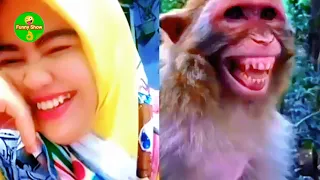 Best Funny Comedy Videos Tik Tok China Compilation 2022 | P 39 tiger and dog Video