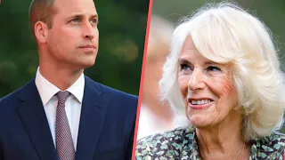 Camilla Parker en convalescence : Prince William à son chevet, les détails de son rétablissement