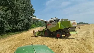 Žetva Pivarskog Ječma 2022 / John Deere T560i & Claas Lexion 540