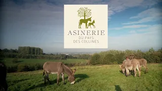 L'Asinerie du Pays des Collines