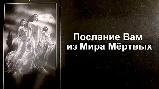 Срочное ☝🏻послание из мира мертвых🙏🏻