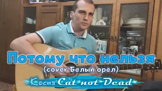 Костя Cat not Dead - Потому что нельзя (cover Белый орёл)