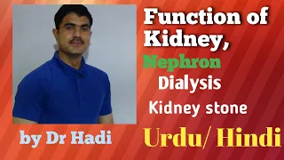 function of kidney or Nephron  dialysis kidney stone and lithotrypsy in Urdu Hindi