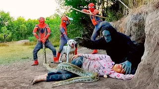 Pro 3 SUPERHERO TEAM | Spider-Man, Pitbull Go To Rescue The Girl From Giant Snake, King Kong Monster