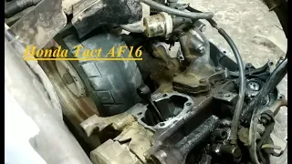 Оживление Мертвеца Honda Tact 16 AF05e  Контейнерные скутерочки