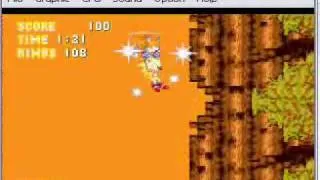 Sonic 3 & knuckles glitch in angel island