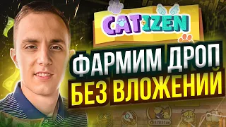 Catizen Забери дроп от telegram | Catizen airdrop | catizen лайфхаки | catizen прокачка котов