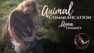 Animal Communicator, Anna Twinney, talks to the cutest baby sloth ever!