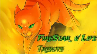 Firestar's life