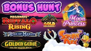 Bonus Hunt!! Scruffy Duck, Moon Princess and more!