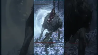 How to Kill Gravetender Greatwolf in 4 easy steps!