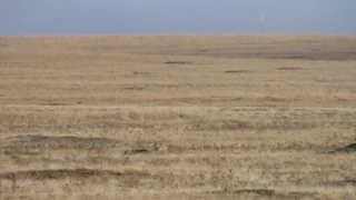 Prairie Dog Hunting