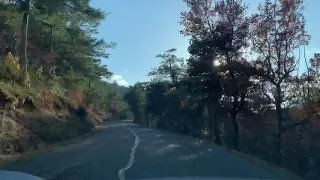 Porsche 911 great autumn drive Gorges du Verdon rive droite towards the sun