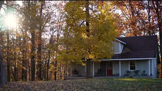 A peaceful scene TENNESEE (The man and the cat)