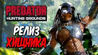 Predator: Hunting Grounds — РЕЛИЗ ХИЩНИКА НА ПК! ИГРАЕМ ЗА ХИЩНИКА И ПРОКАЧИВАЕМ ЕГО!