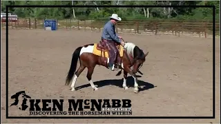 Ken McNabb Emotional Control | How to Calm the Anxious High Headed Horse Through Head Elevation