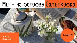 Астрид Линдгрен. Мы - на острове Сальткрока. Глава 1/2