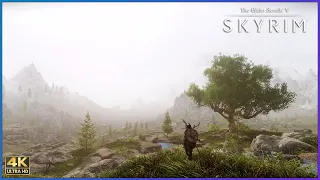 This is why you need Dyndolod
