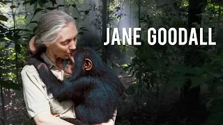 Jane Goodall ir artimiausi žmonių giminaičiai Žemėje || Moterys moksle #9