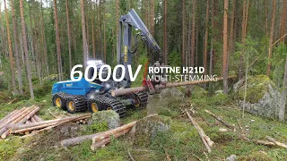 Log Max 6000V harvester head - Rottne H21D