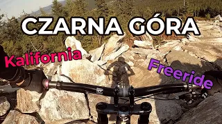 Bike park Czarna Góra, трассы FREERIDE и KALIFORNIA