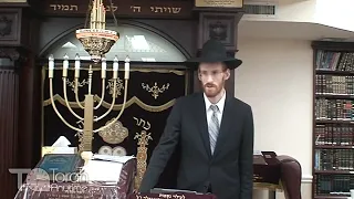 The Kashrus of the Murex Trunculus Snail for Techeiles - Rabbi Yisroel Barkin