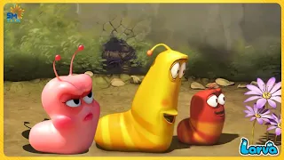 LARVA SEASON 2 EPISODE 96 ~ 128 | CARTOON MOVIE NEW VERSION | LARVA MOVIES TOP 50 EPISODE