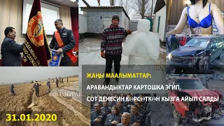 Жаңы маалыматтар: Аравандыктар картошка эгип, сот денесин көрсөткөн кызга айып салды