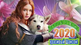 Шансон 2020 💖 шансон лучшее песни 💖Зажигательные песни 2020💖песня о любви💖 Новая еженедельная музыка