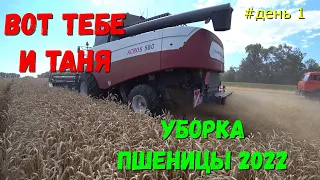 Уборка Пшеницы 2022 в Краснодарском Крае / Уборочная Страда 2022  / Жнива 2022.